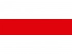 Разметочная клейкая лента, ЗУБР Профессионал 12244-50-25, цвет красный, 50мм х 25м в Хабаровскe