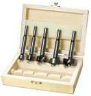 Набор сверл дер 5шт форстнера 10/15/20/25/35мм дерКороб Matrix в Хабаровскe